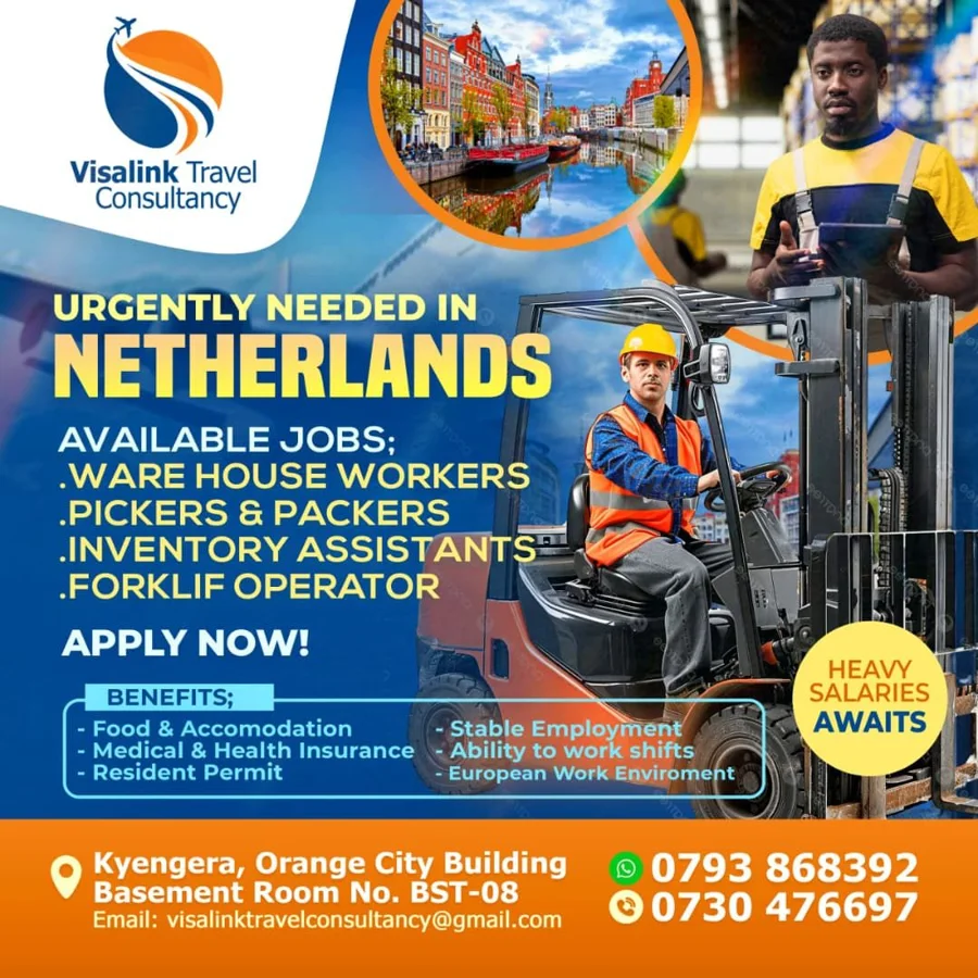 Original Visa Link Netherlands Jobs poster