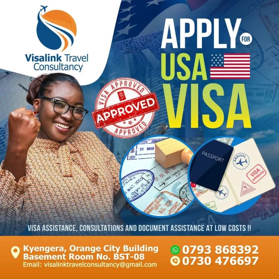 Original Visa Link USA Visa Assistance poster